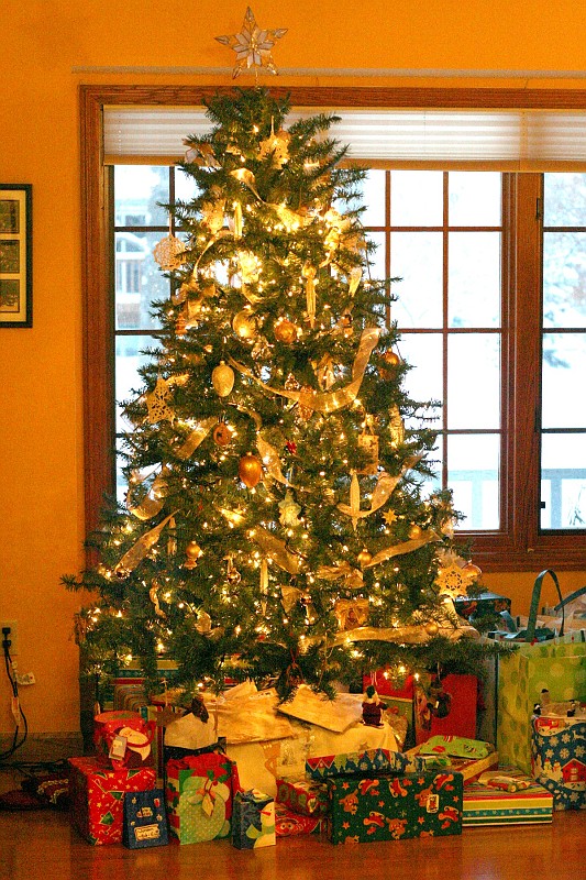 IMG_3149-tree-4x6.JPG