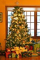 IMG_3149-tree-4x6