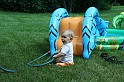 IMG_0941