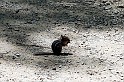 IMG_1272