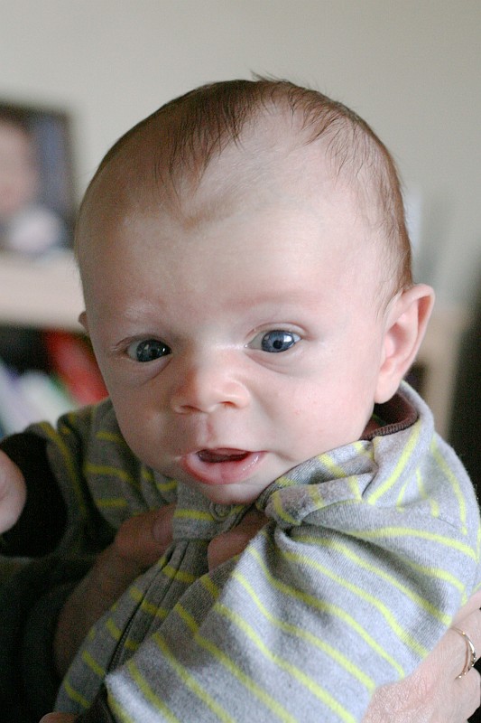 IMG_2012-4x6.jpg