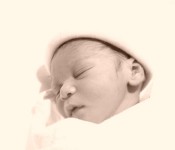 Pierce Alexander Morse